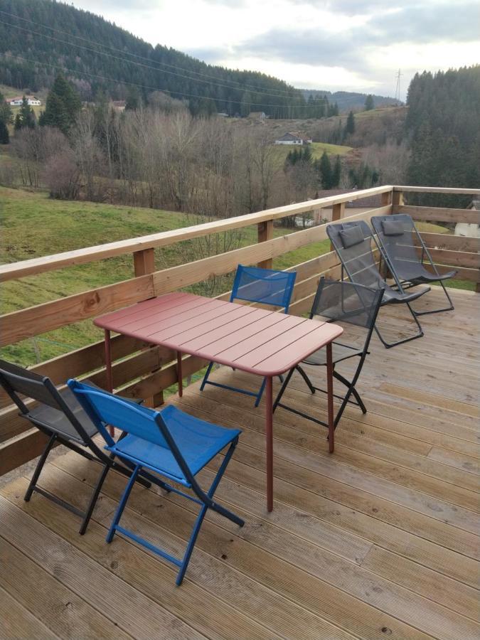 Le Martin Pecheur - Appartement Gerardmer Exterior photo