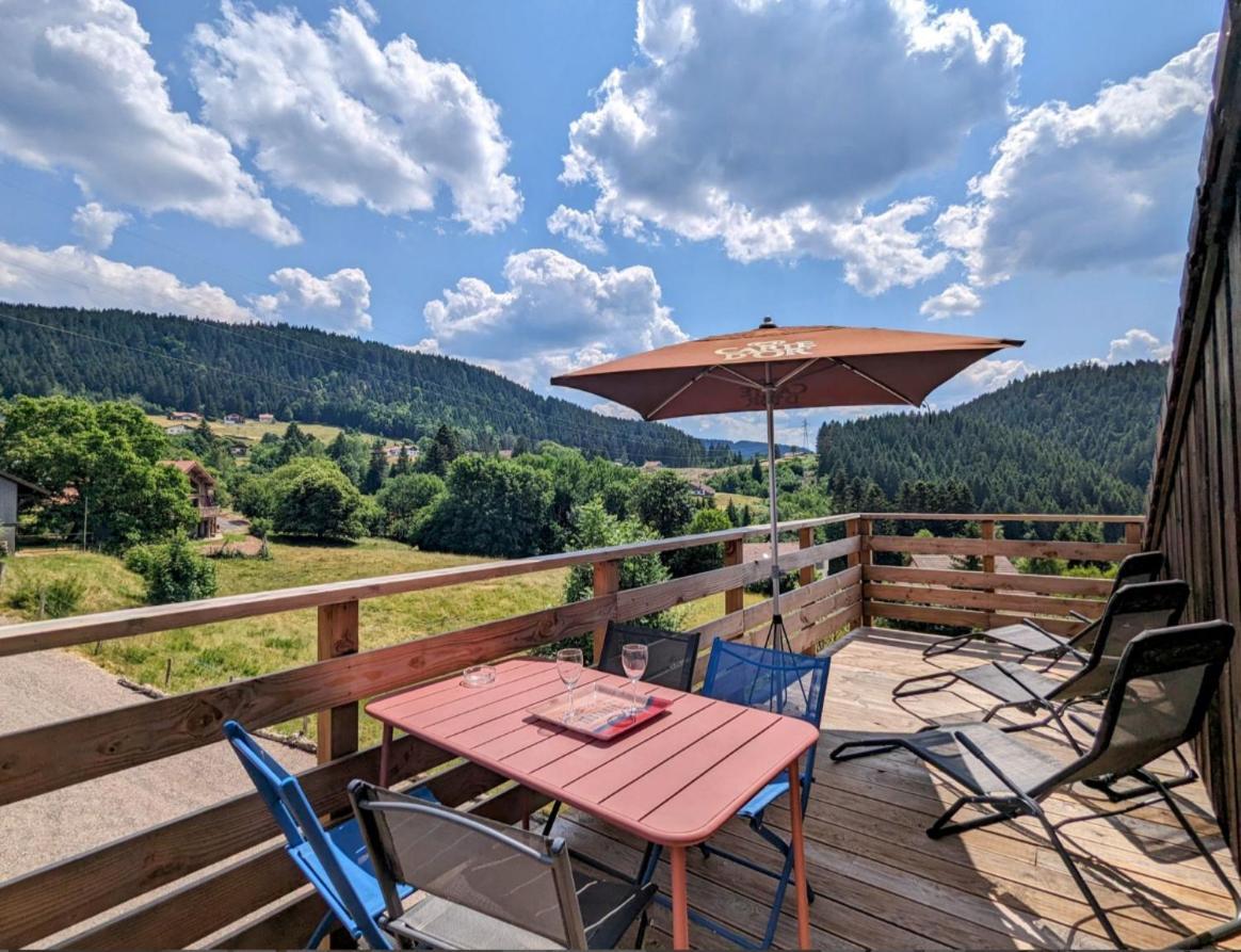 Le Martin Pecheur - Appartement Gerardmer Exterior photo